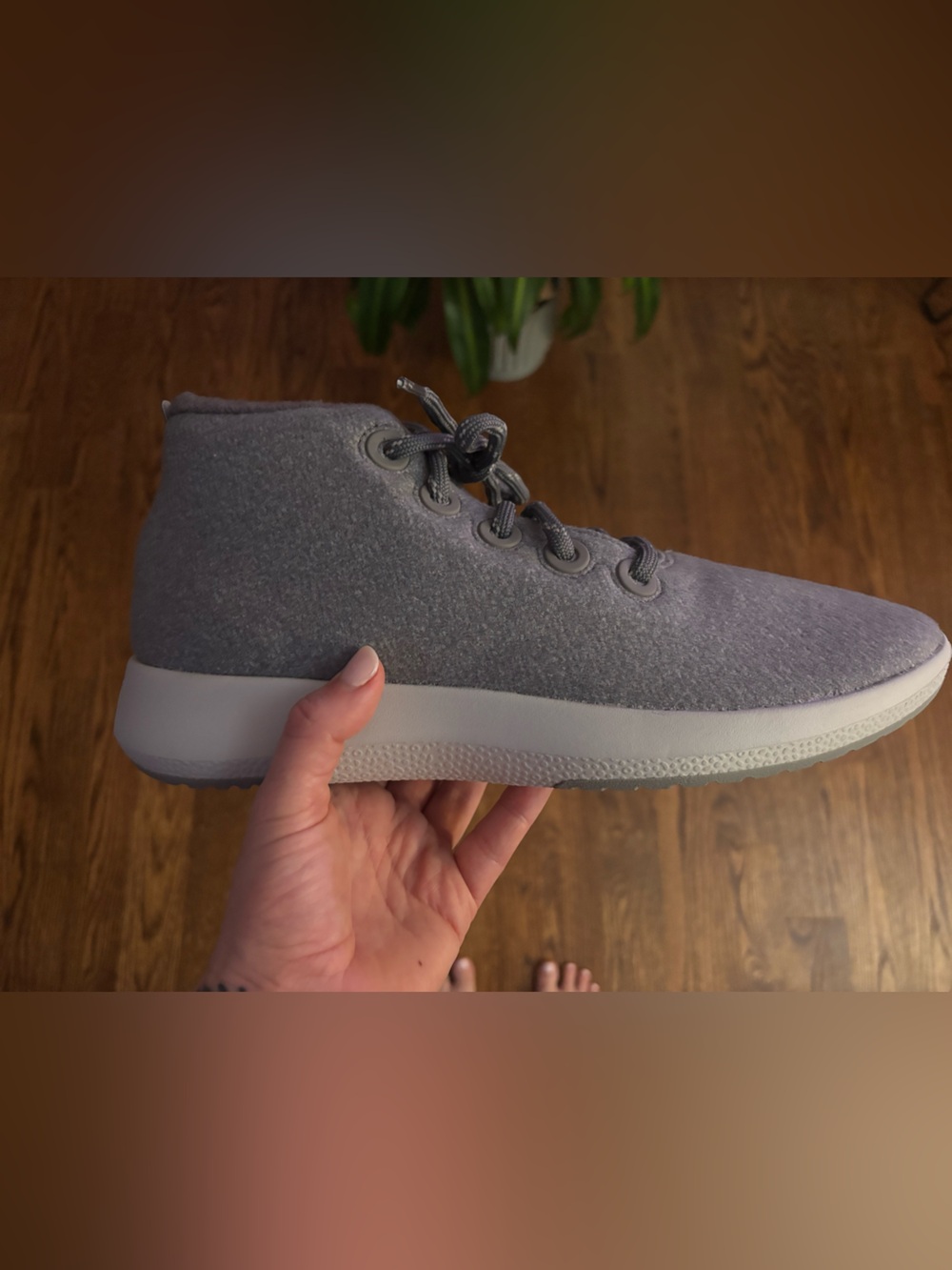 allbirds Light Gray Shoe Box — M11